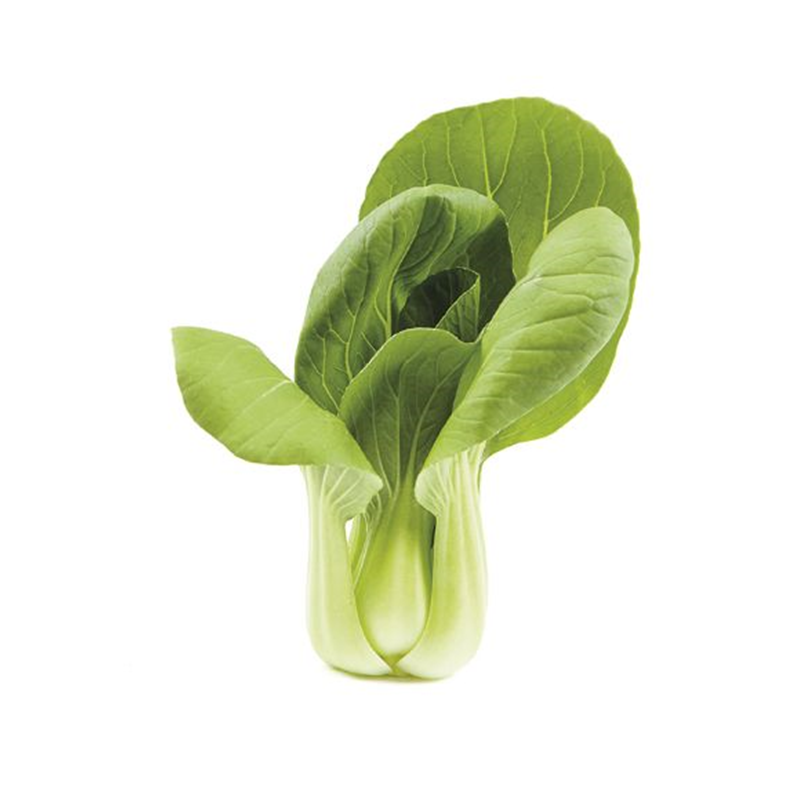 Mini Shanghai Pak Choi 500g - TOKOPOINT.COM